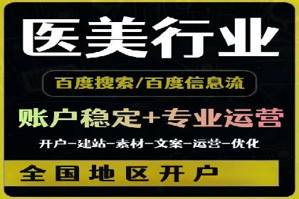 行业领先SEM服务公司案例研究